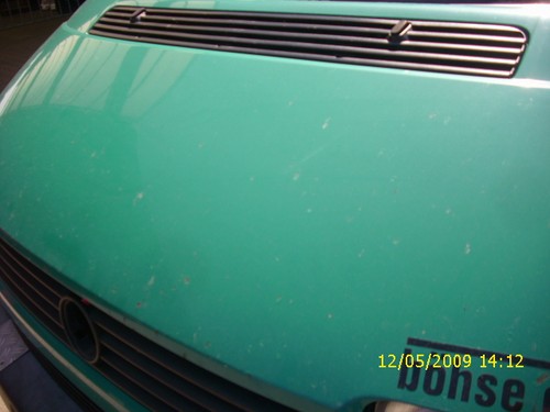 Motorhaube caravelle td - motorhaube, vw
